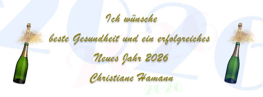 neujahr banner 851x315 210101